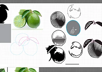 Thumbnail of lime illustration experimentation, click to open larger version in new tab.